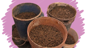 کراچی: نجی سوسائٹی میں کسٹم کا چھاپہ، 2 کروڑ مالیت کا گٹکا برآمد